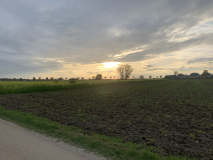 IMG_0650