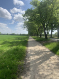IMG_0867