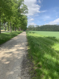 IMG_0868