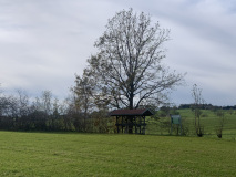 IMG_1300