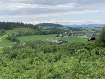 IMG_1656