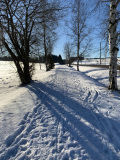 IMG_2070