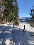 IMG_2081