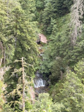 IMG_0275