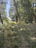IMG_0366